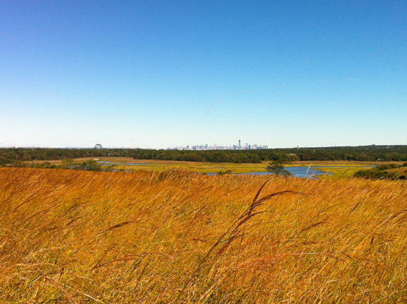 Freshkills